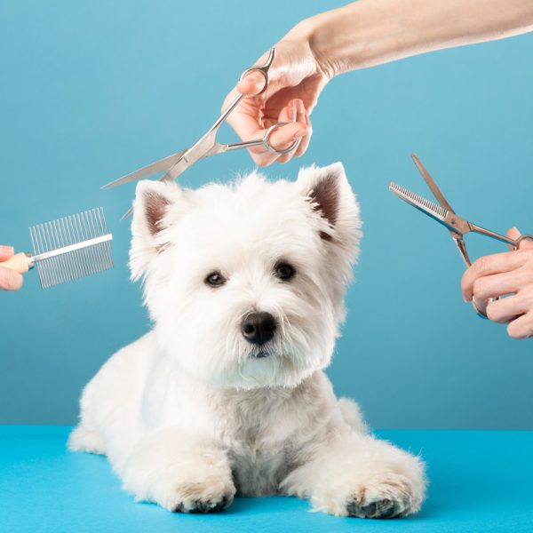 Part Time Intensive Course