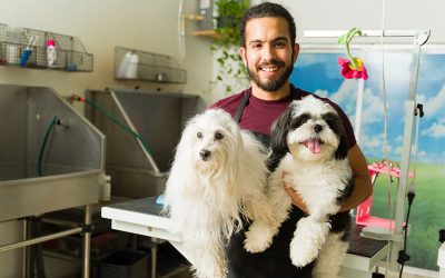 Full-Time vs. Part-Time Grooming Courses: Which Is Right for You?